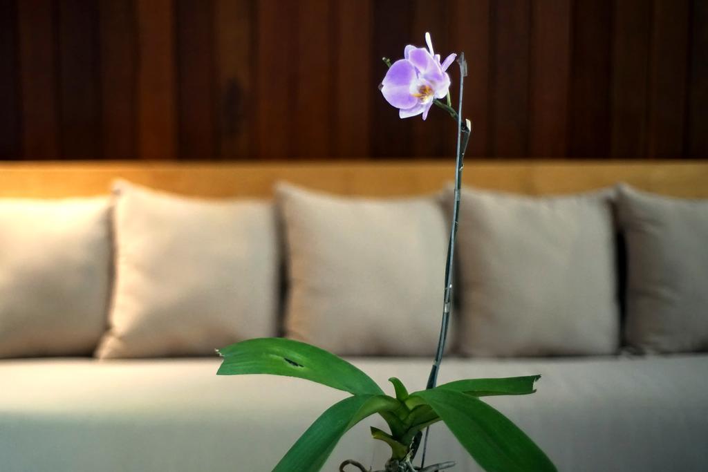 Bale Mandala Villas Senggigi Kültér fotó